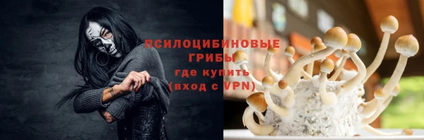 дмт Балахна
