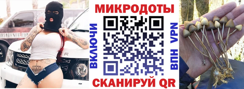 Псилоцибиновые грибы мухоморы  Ижевск 